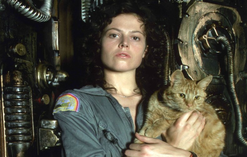 Alien