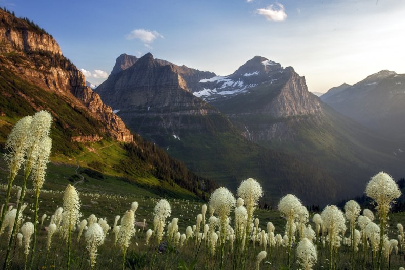 Montana
