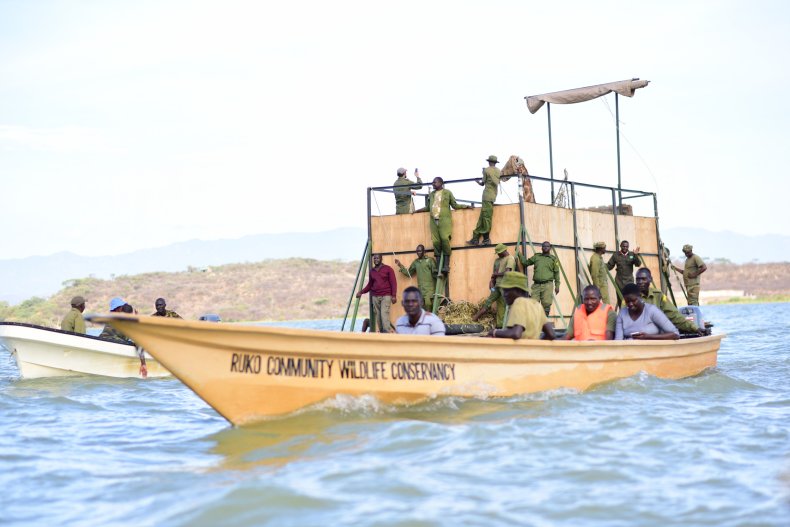 Ruko boat