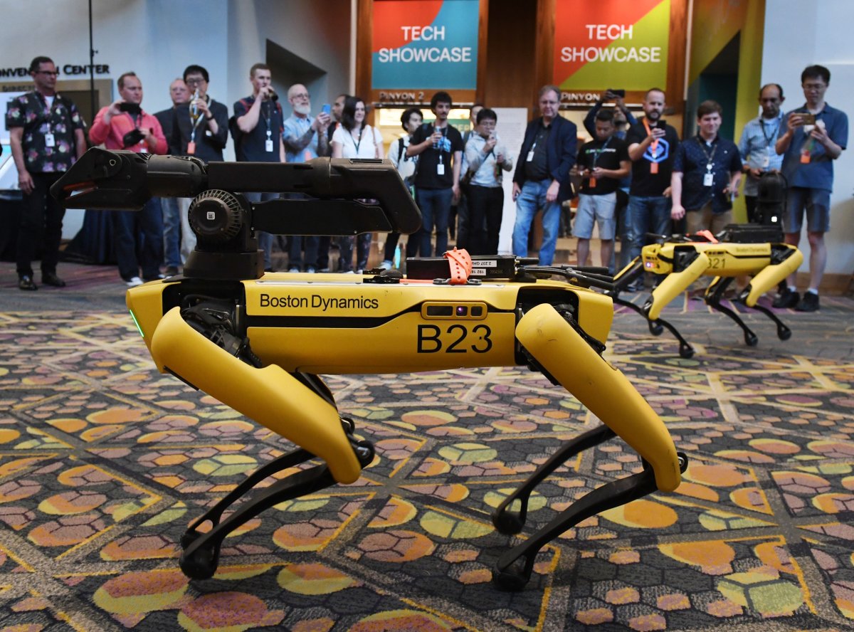 Robotic dog built by Boston Dynamics 