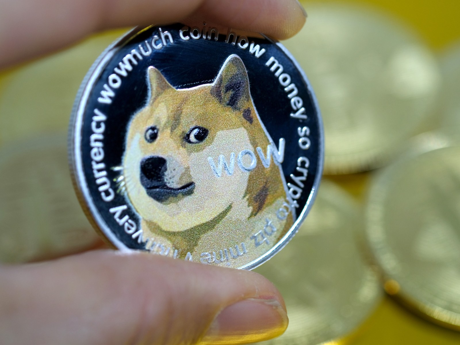 Why Did Dogecoin Spike Meme Cryptocurrency S Fans Rejoice As Token Hits All Time High Why Did Dogecoin Spike Meme Cryptocurrency S Fans Rejoice As Token Hits All Time High
