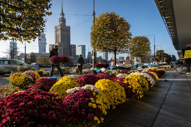 Chrysanthemums