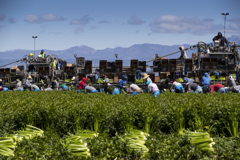 Agricultural workers in Oxnard, California