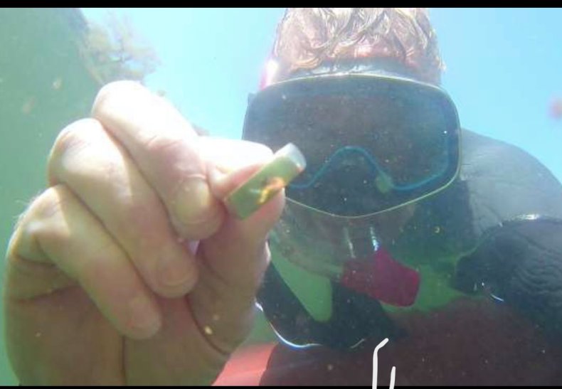 wedding ring found in river