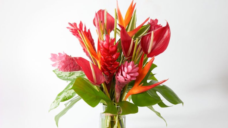 UrbanStems Mother's Day