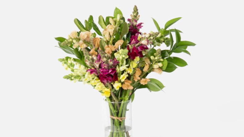UrbanStems Mother's Day