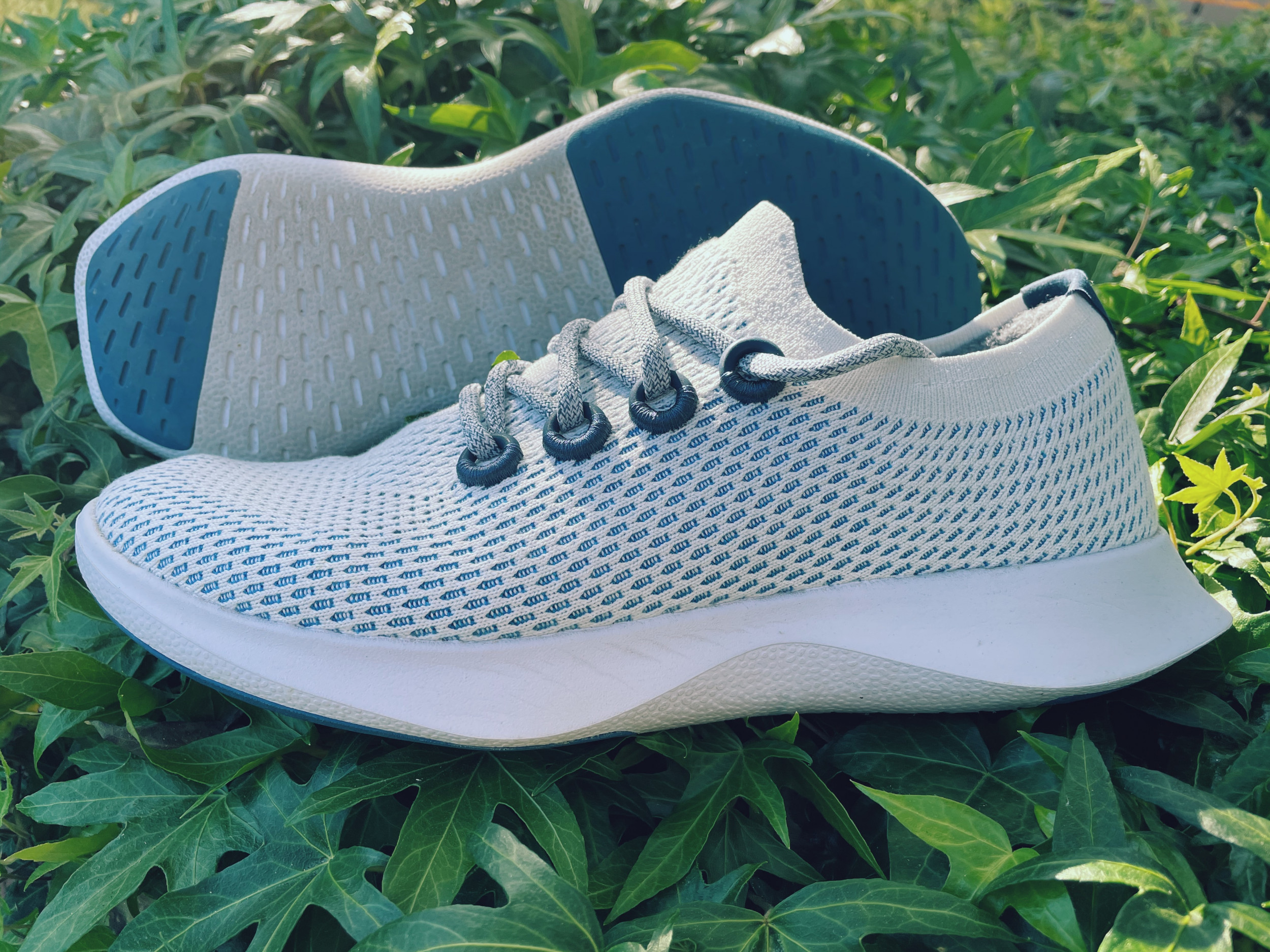 allbirds sports shoes