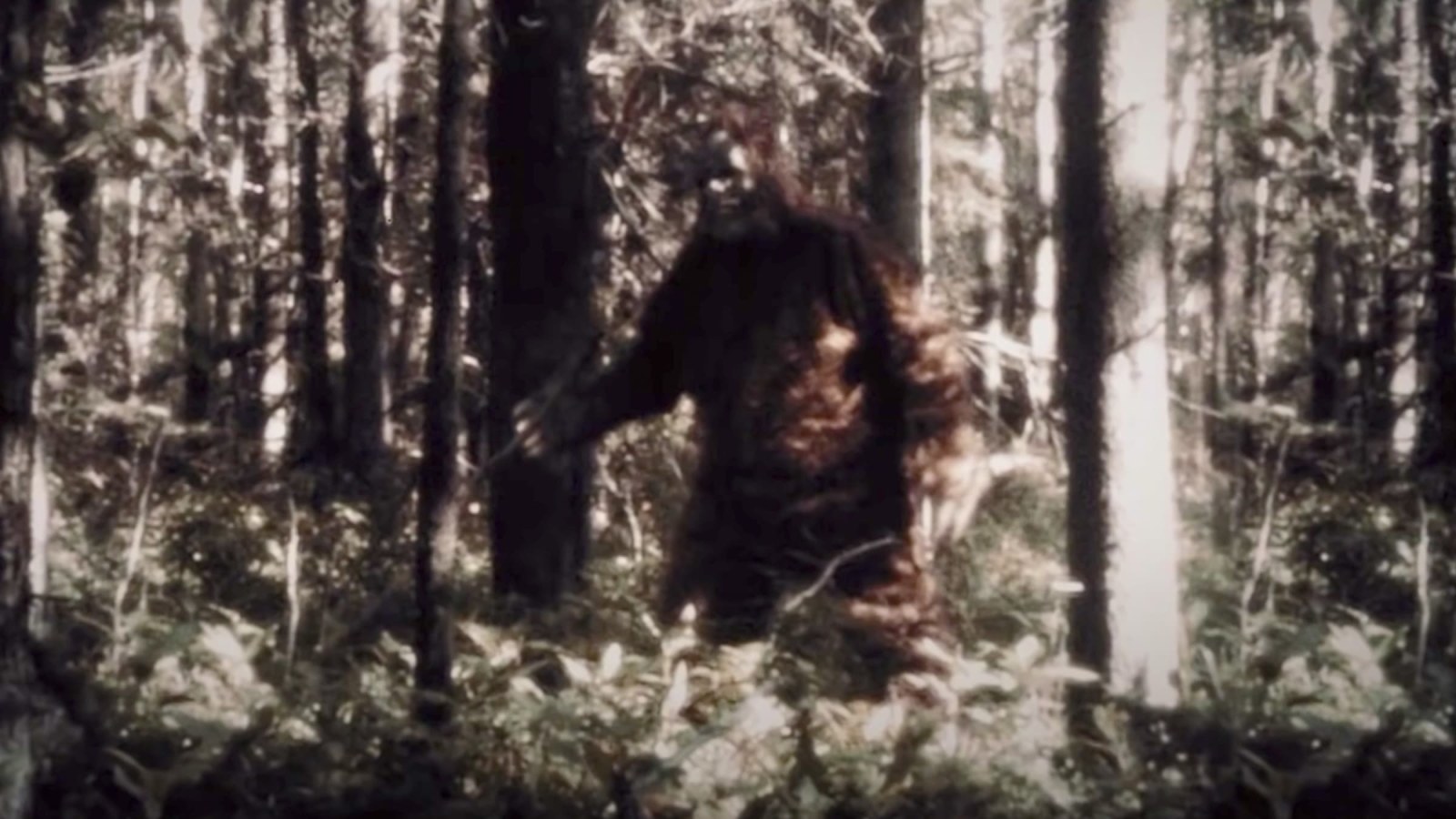 At a Sasquatch Summit in East Texas, Bigfoot Hunters Mull a Big