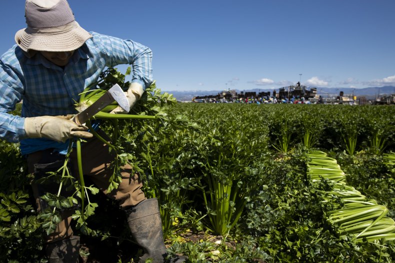 Migrant agricultural workers