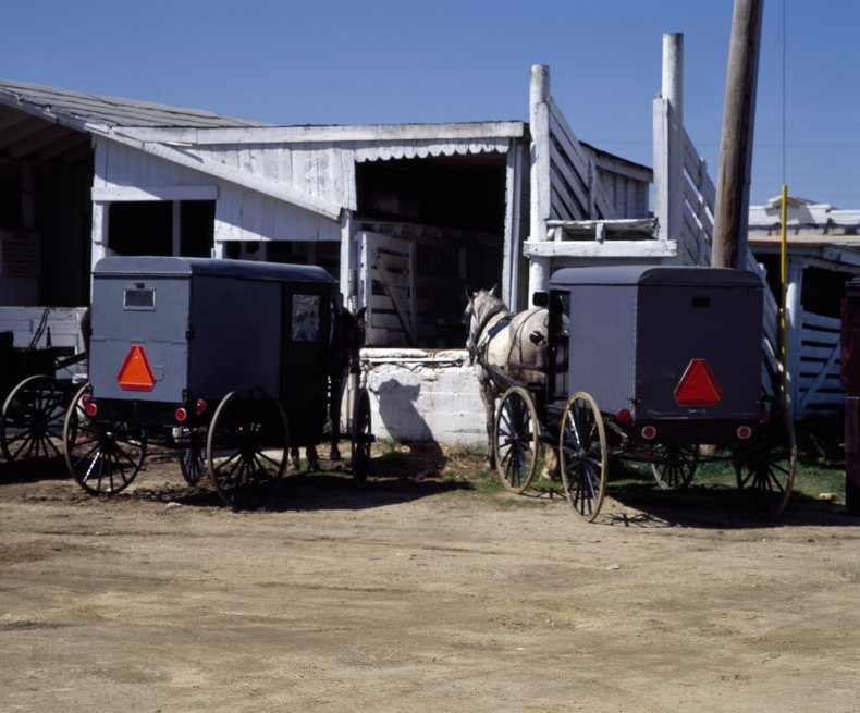 Linda Stoltzfoos Amish Remains Missing Person