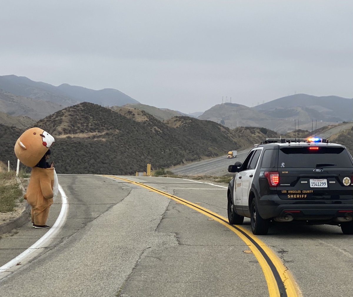Man Finishes 480-Mile Hike in Bear Suit, Describes Stench Inside His Costume