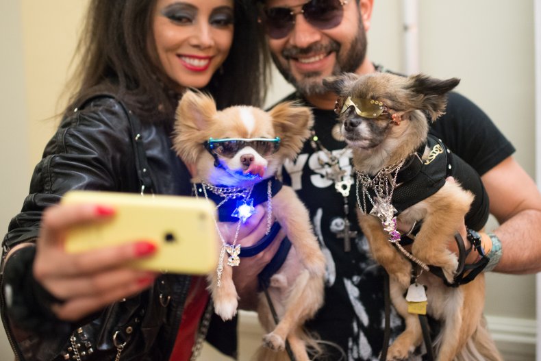 Pet Selfie