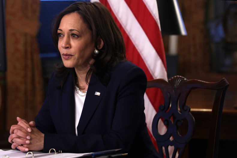 Vice President Harris at a Virtual Meeting