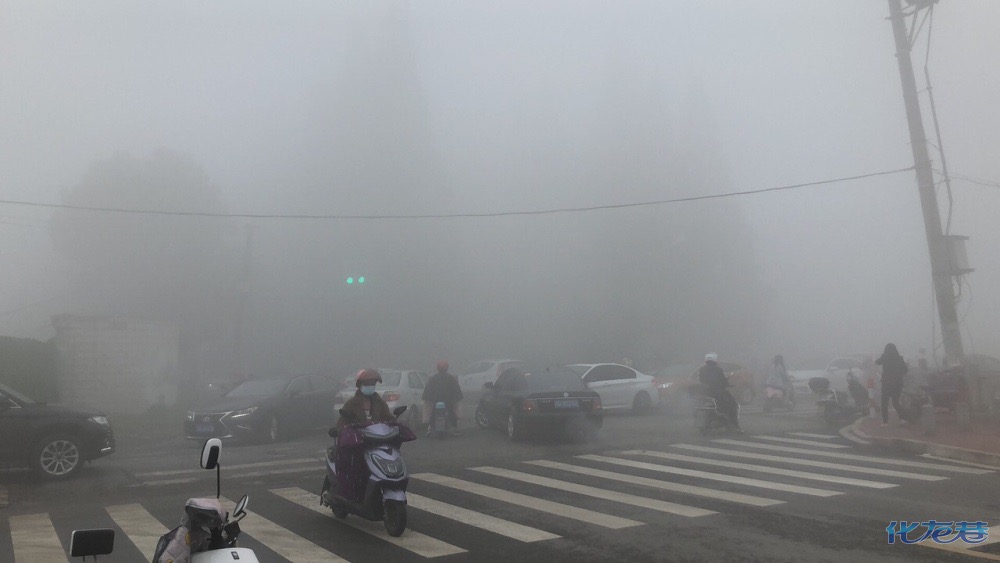 Chlorine Gas Cloud Engulfs Town Sparking Mass Evacuation LaptrinhX / News