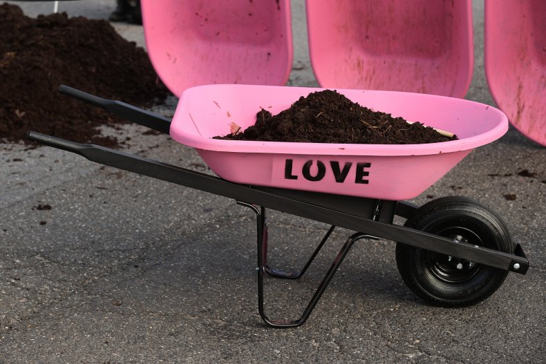Manure