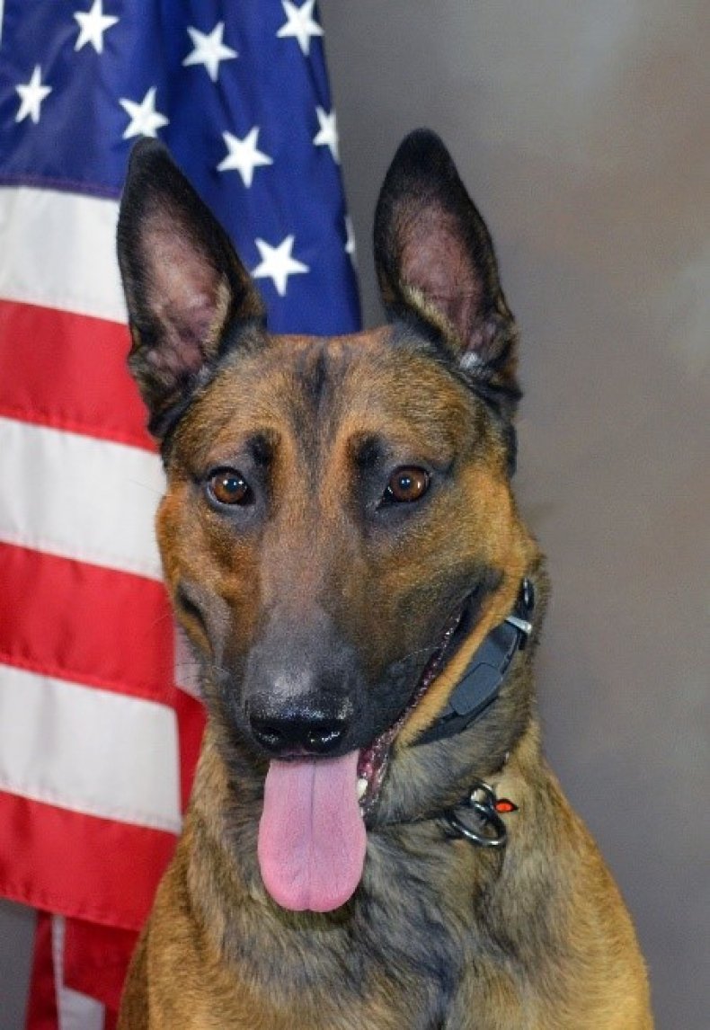 Jango Police K9