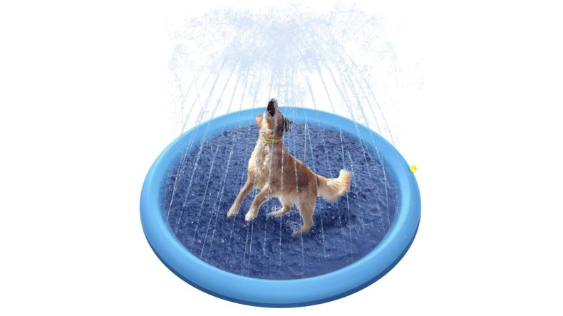 Keep Dogs Cool