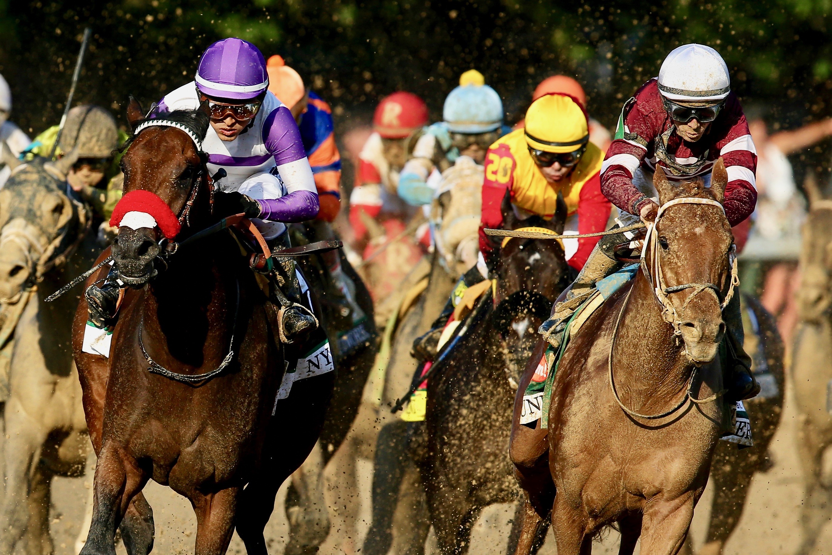 Kentucky Derby horses SohaelRoxann