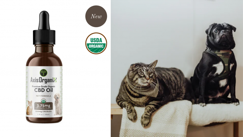 Dog CBD 5