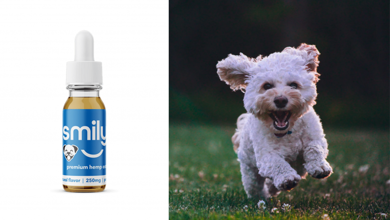 Dog CBD 6