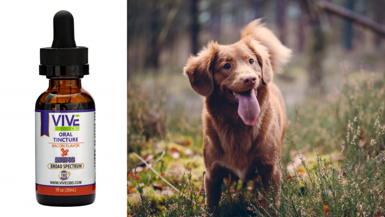 Dog CBD 9