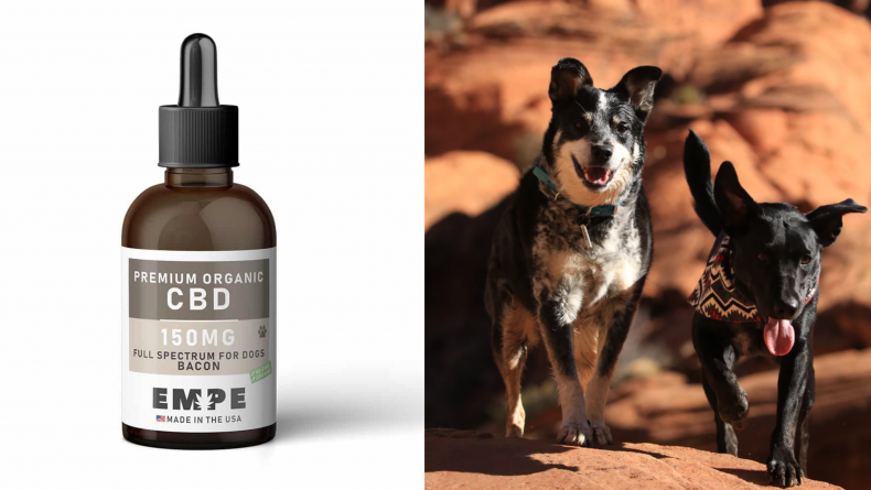 Dog CBD 10