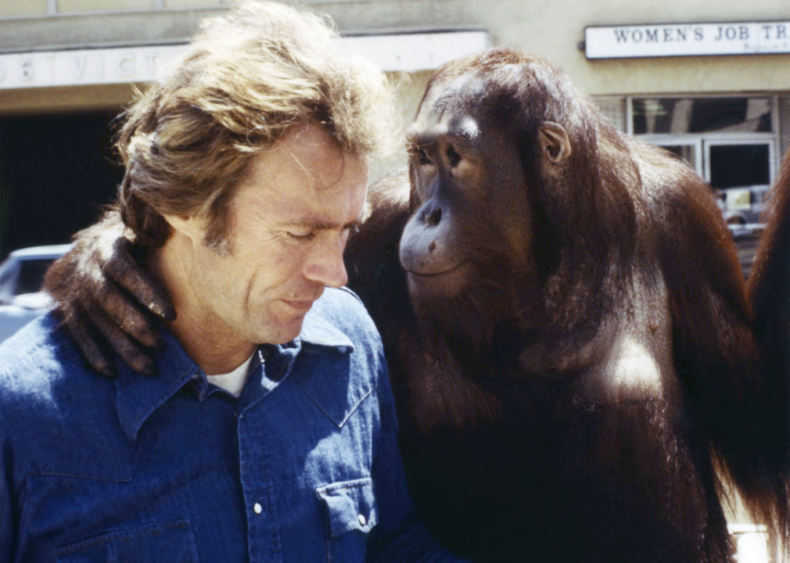1978: Comedy with an orangutan costar