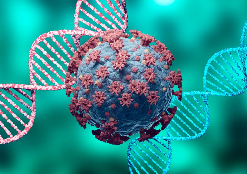 A coronavirus particle