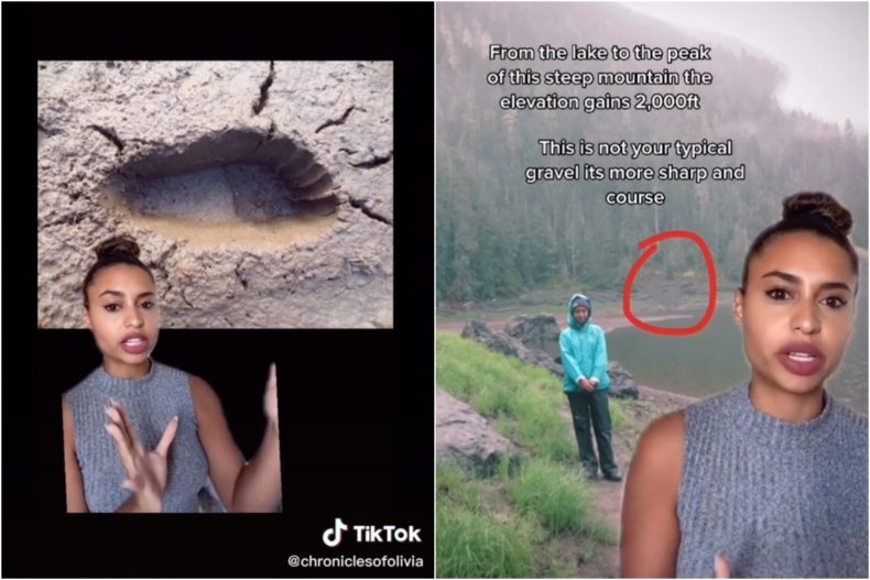 Viral 'humanoid' TikTok