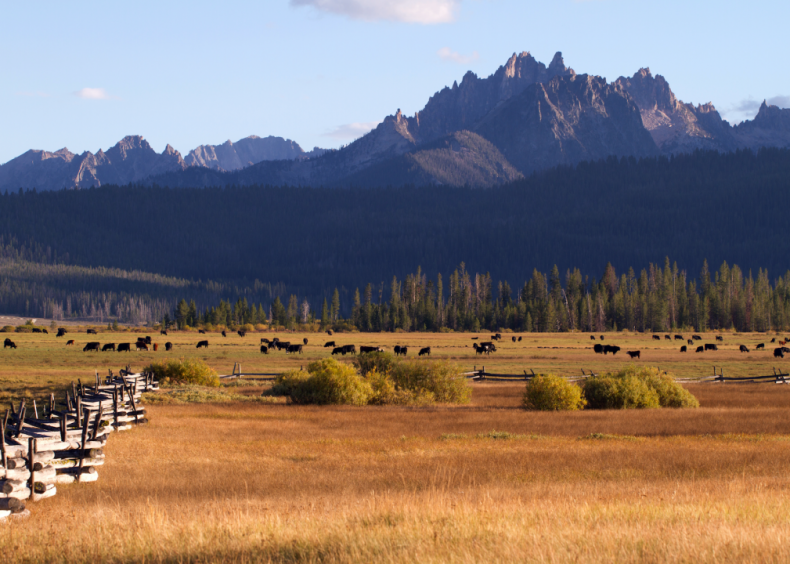 #49. Custer County, Idaho