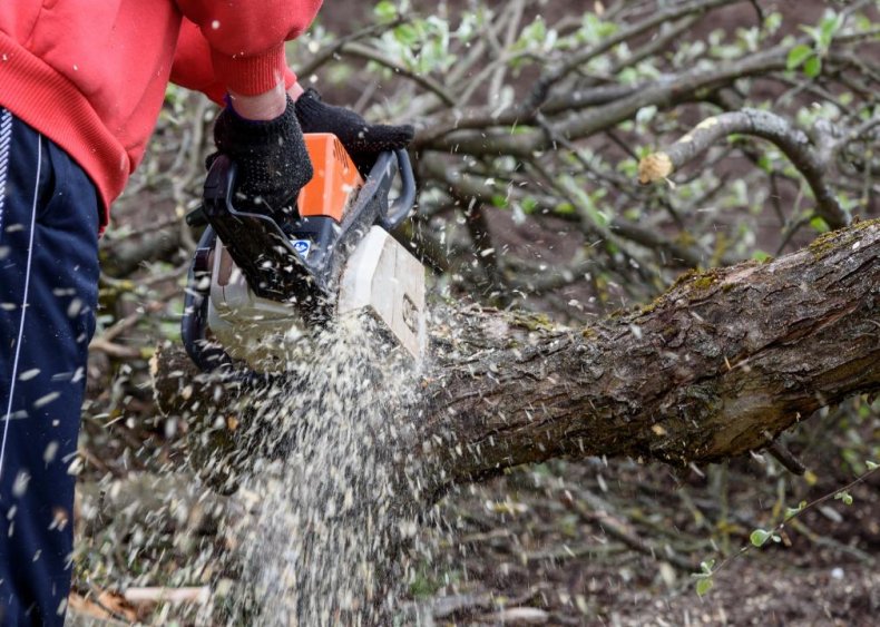 #46. Logging Workers, All Other