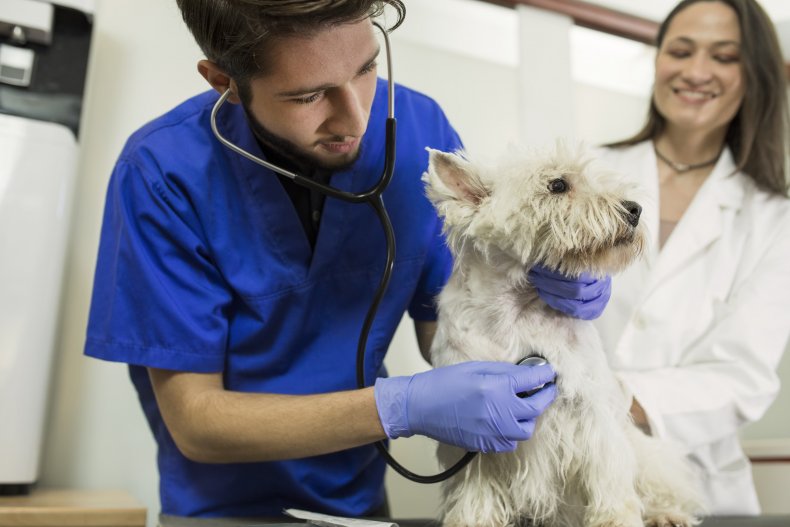 Vet clinic