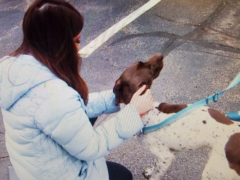 Mazza rescued a stolen dog while reporting.
