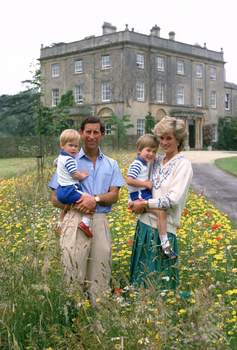 Prince Harry and Prince William in Shorts