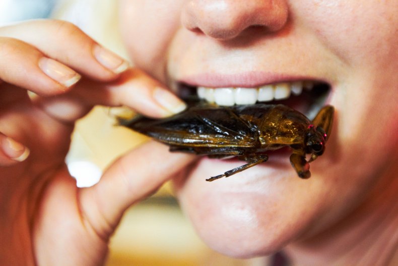 Woman eating a bug