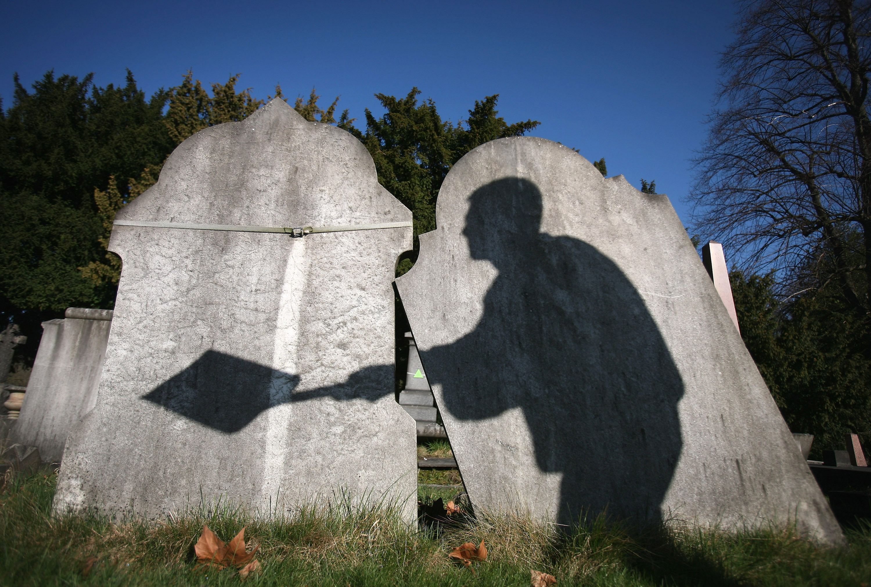 Woman Jailed for Vandalizing Young Man's Grave: 'Looks Like Diabetes Won Again' - Vimarsana News