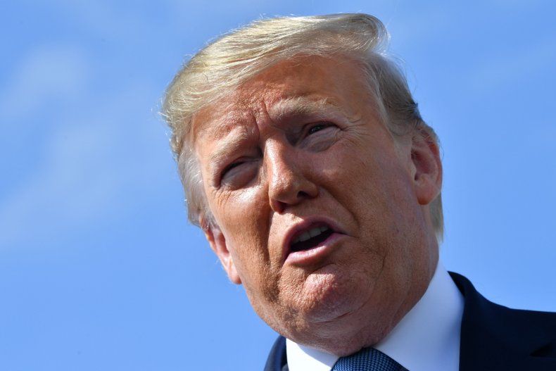 Donald Trump Chip Roy Elise Stefanik Republicans