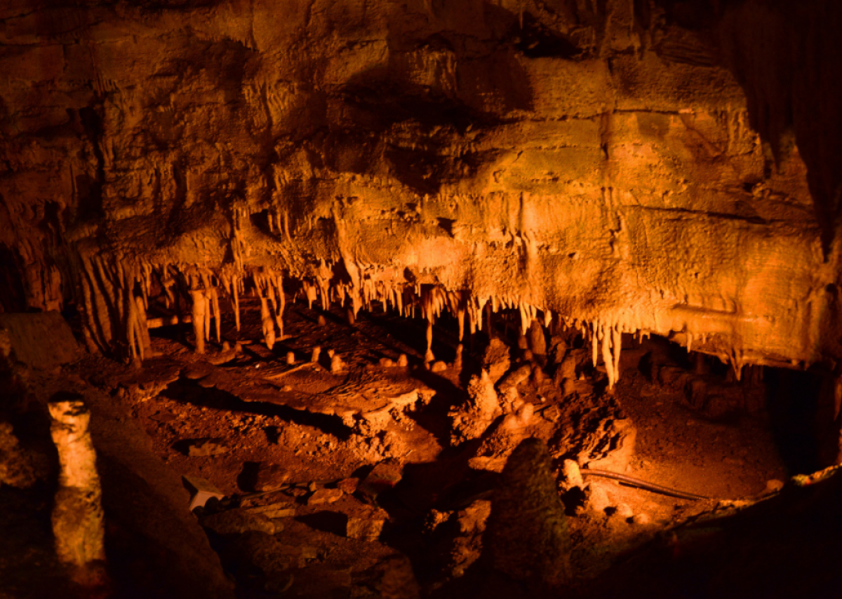 #41. Mammoth Cave National Park