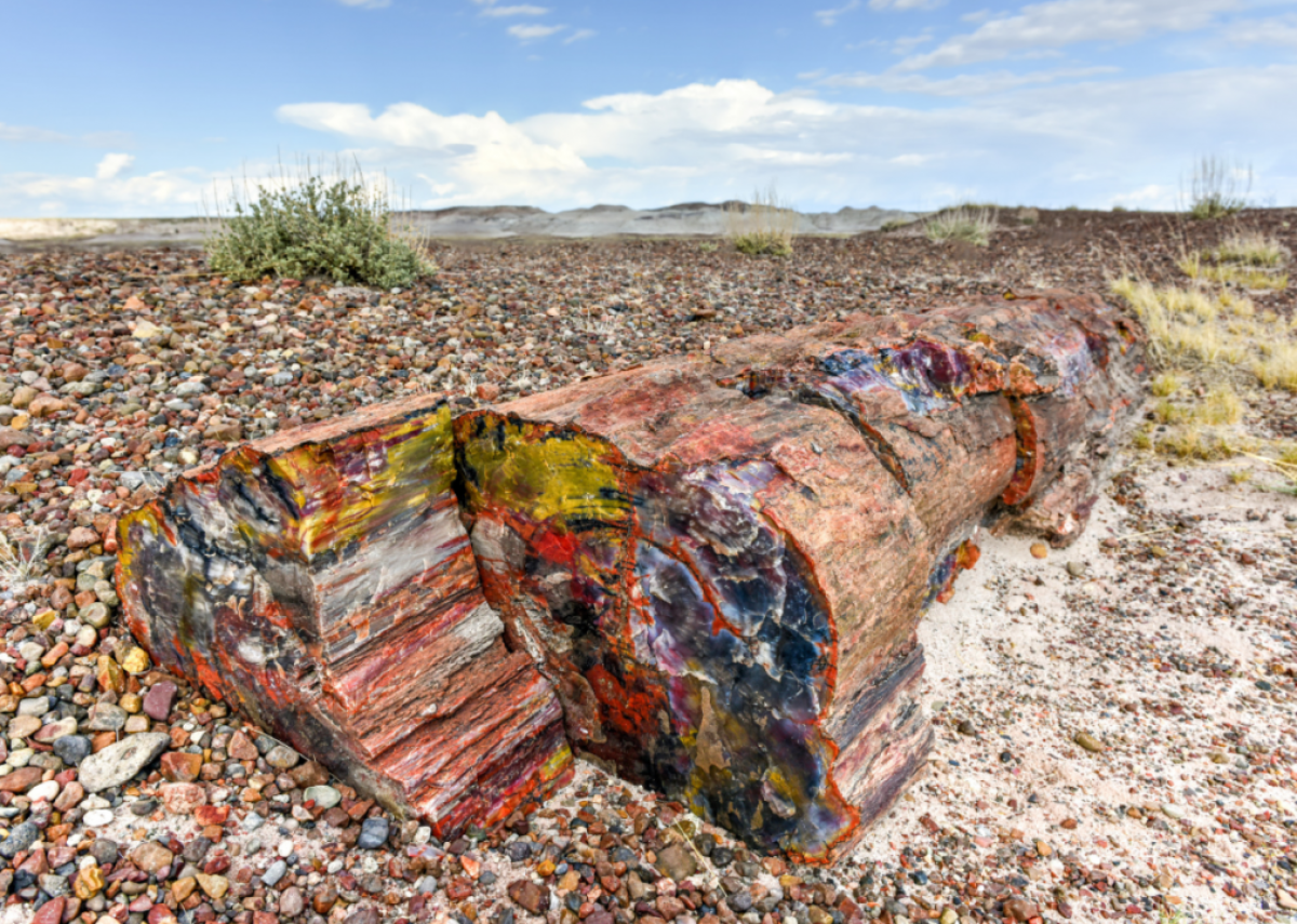 #38. Petrified Forest National Park