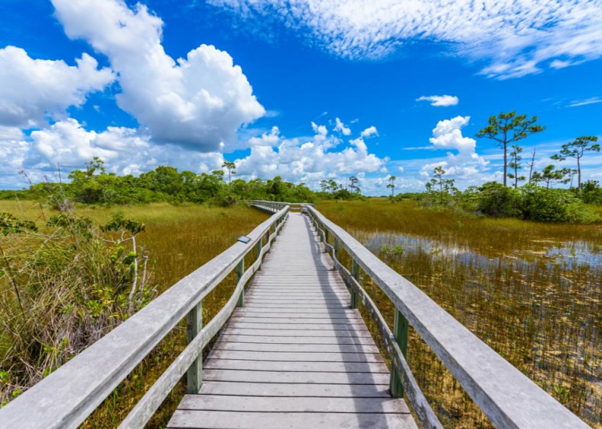 #25. Everglades National Park