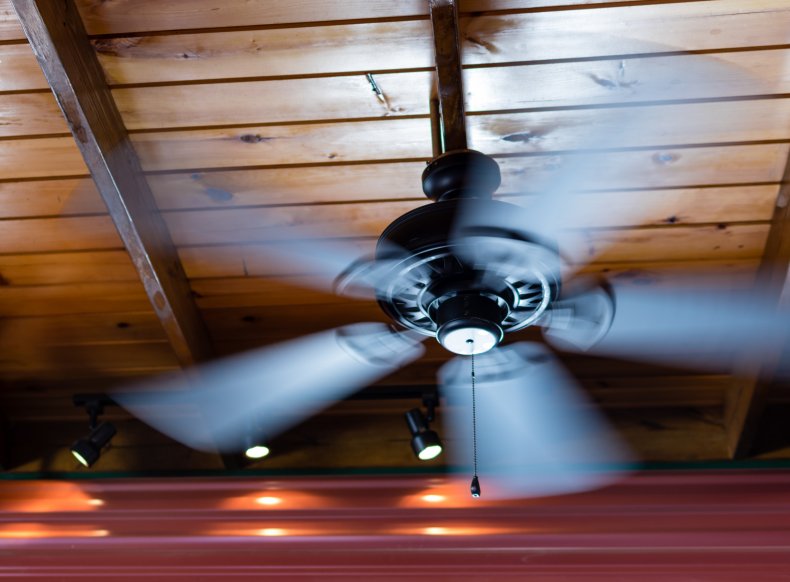 Ceiling fan