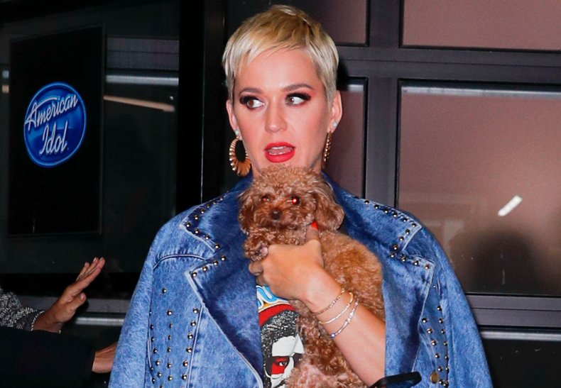 Katy Perry and her dog Nugget