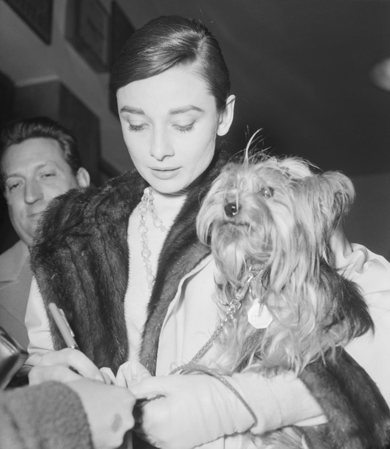 Audrey Hepburn and her dog Mr Famous