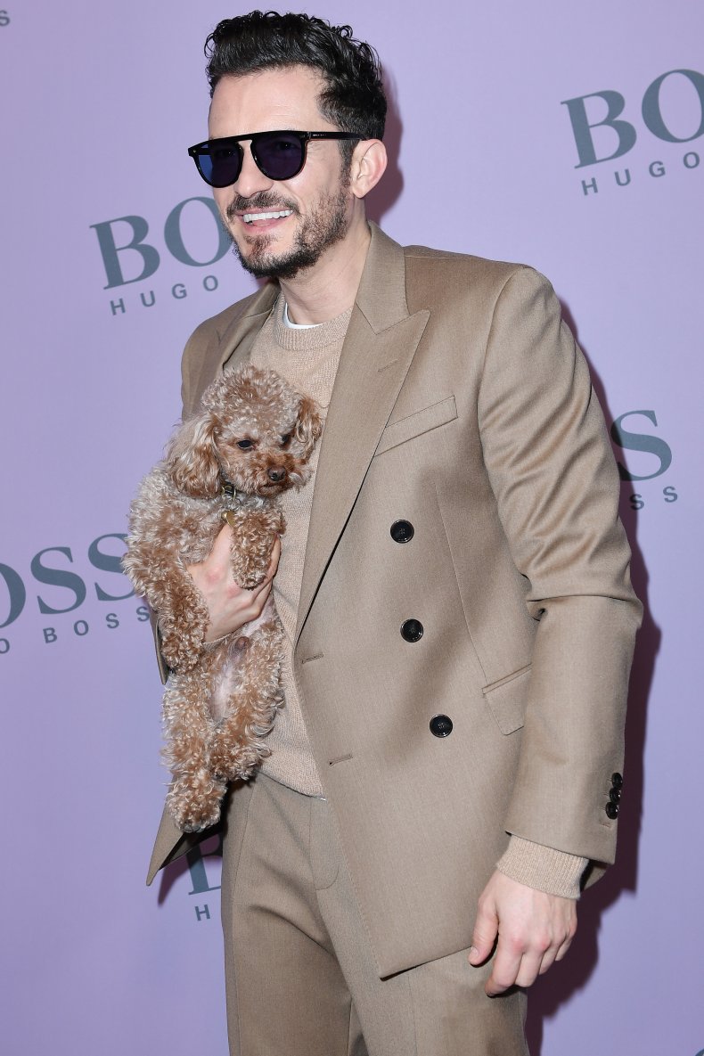 Orlando Bloom and his dog Mighty