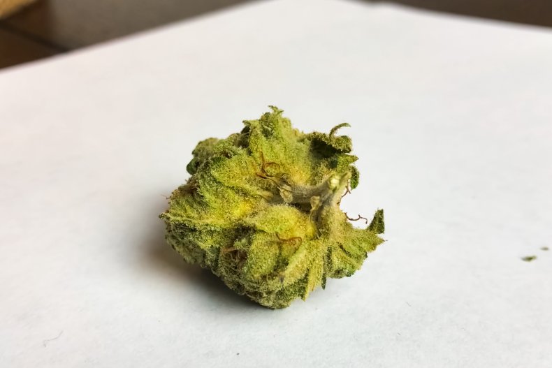 Cannabis