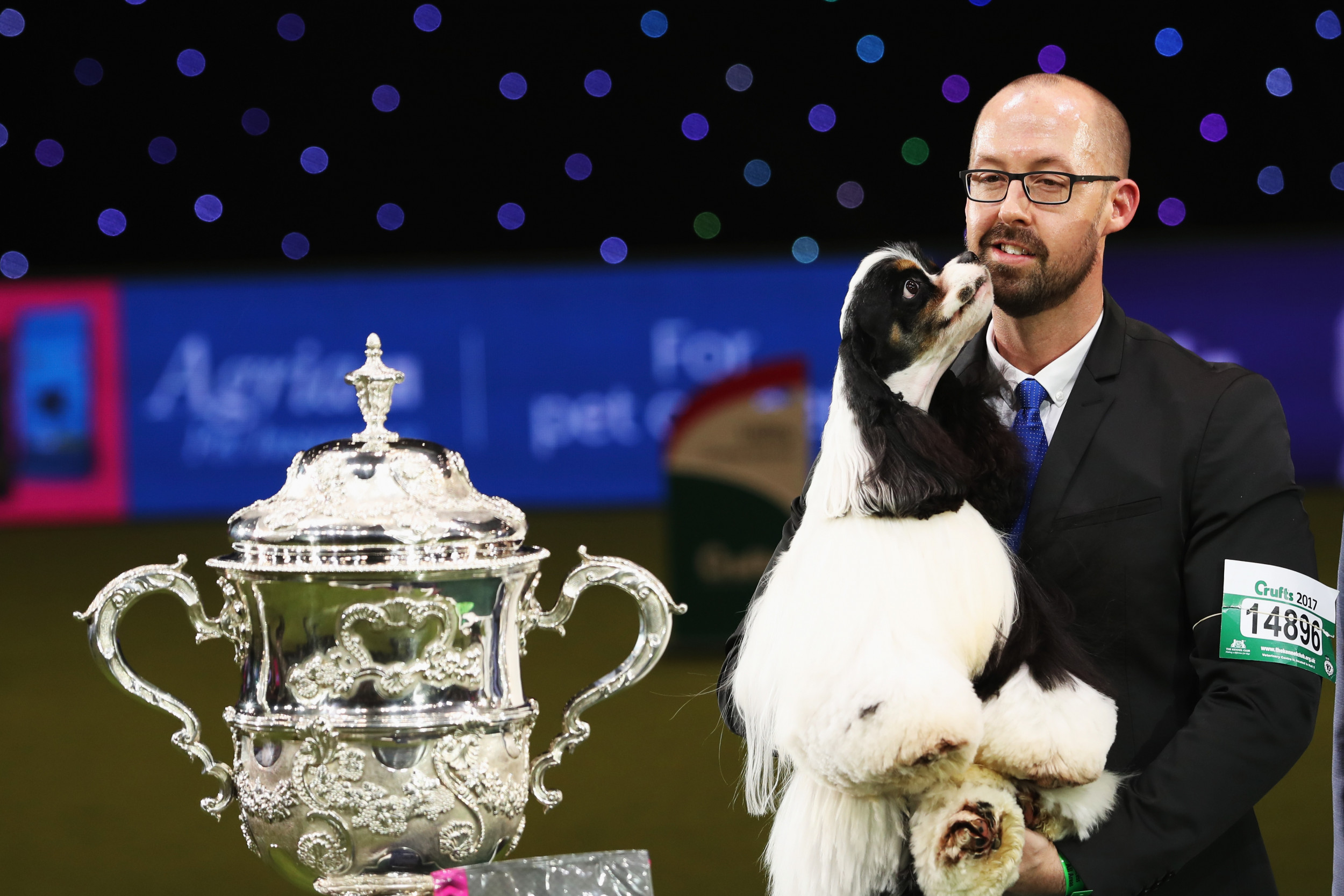 what breed of dog has won the most best in show crufts