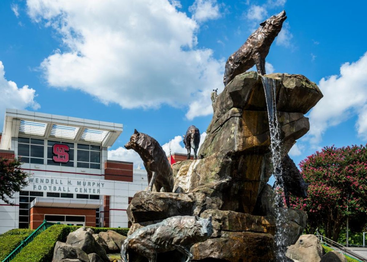 #20. North Carolina State University