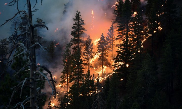 Bobcat Fire 2020