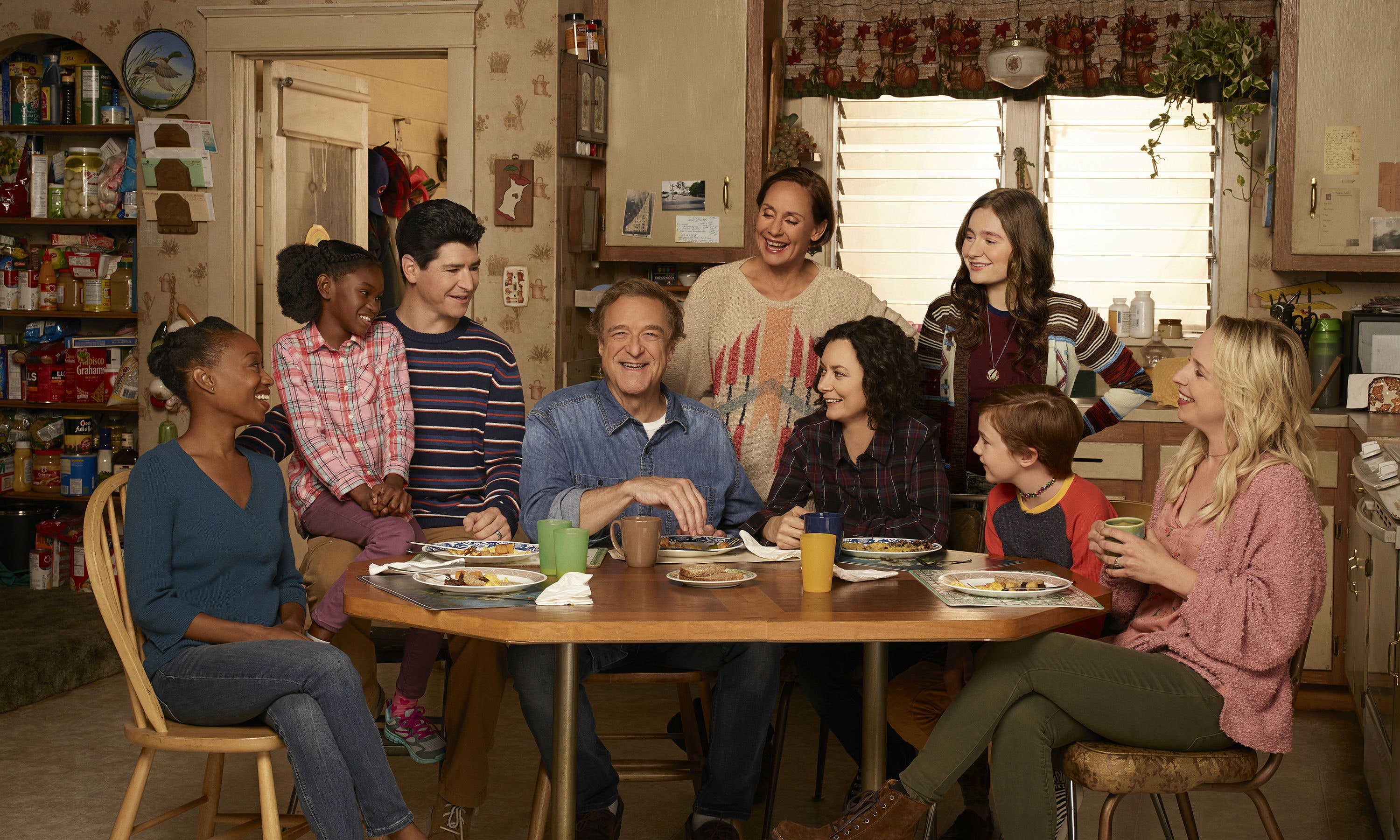 'The Conners' Season 4 Will There Be Another Season