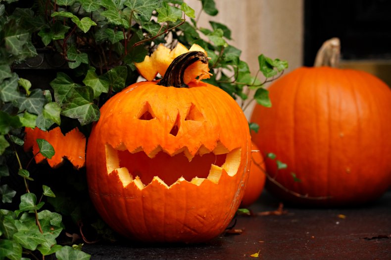 A jack o' lantern grins in garden.